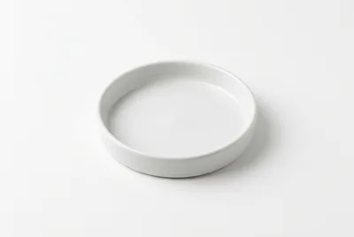 Minimalist White Ceramic Dish On White Background