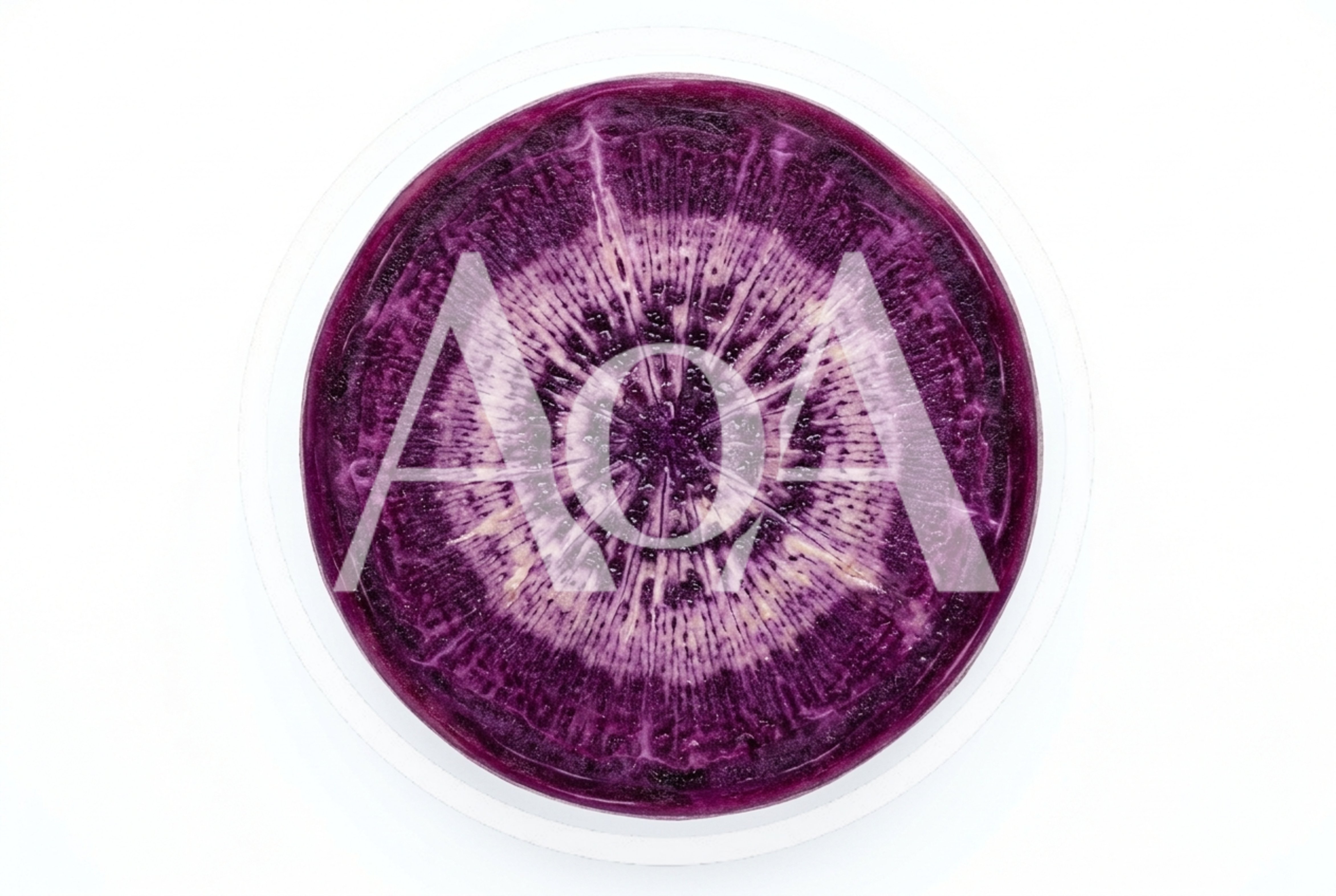 Cross Section Of A Purple Carrot