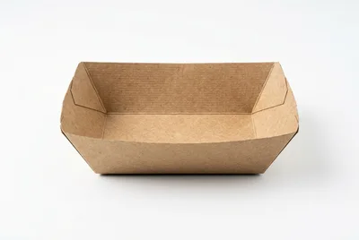 Empty Disposable Cardboard Food Tray