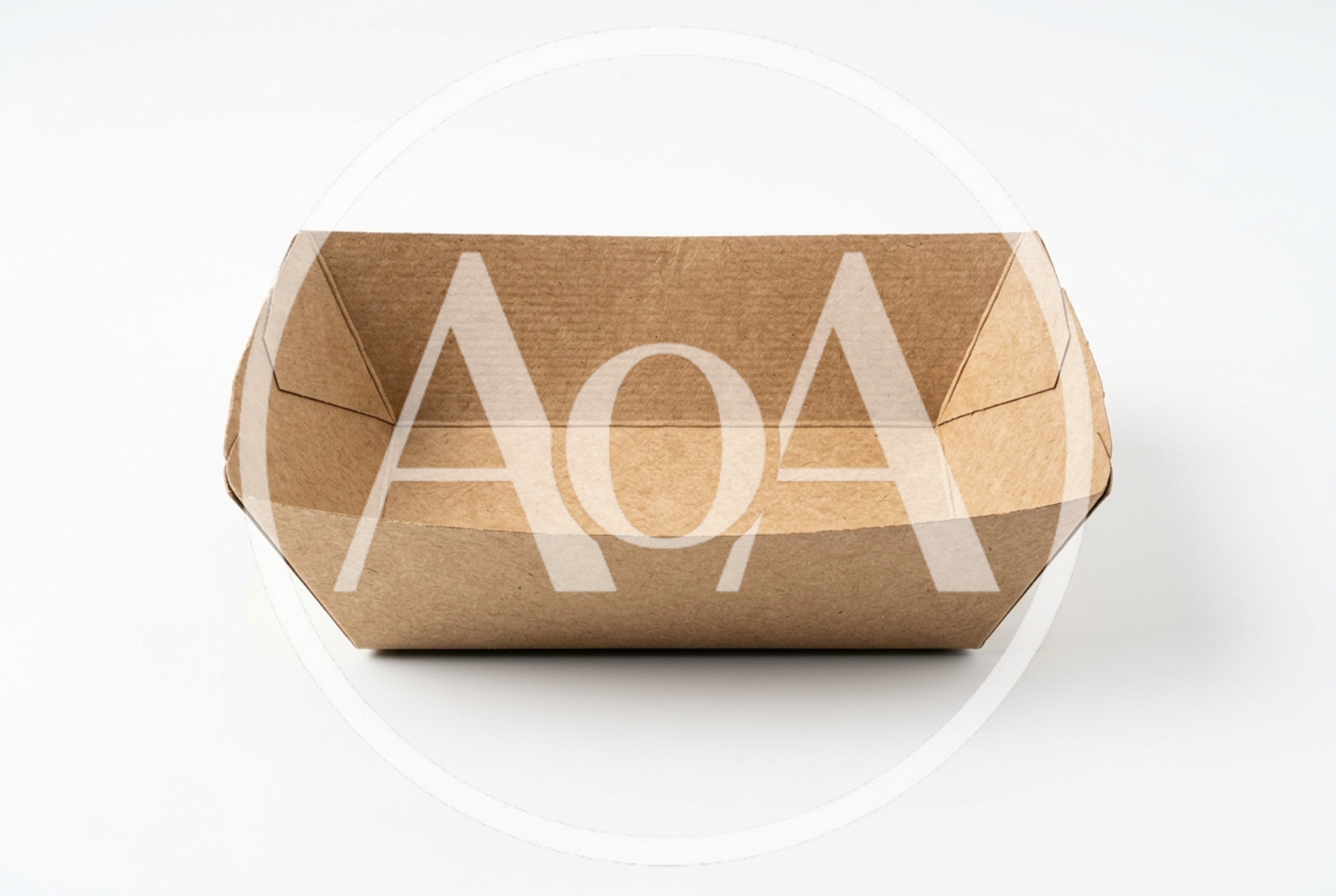 Empty Disposable Cardboard Food Tray