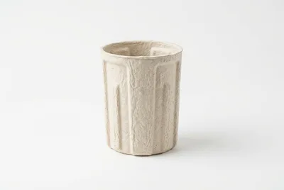 Molded Pulp Fiber Cup on White Background