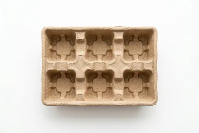 Empty Molded Pulp Fiber Egg Carton Tray
