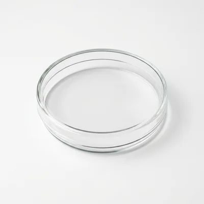 Empty Glass Petri Dish On White Background