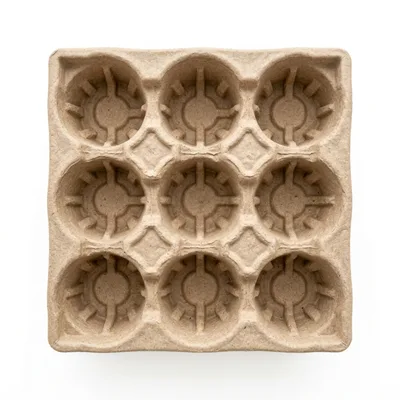 Empty Nine Cup Cardboard Drink Carrier Tray
