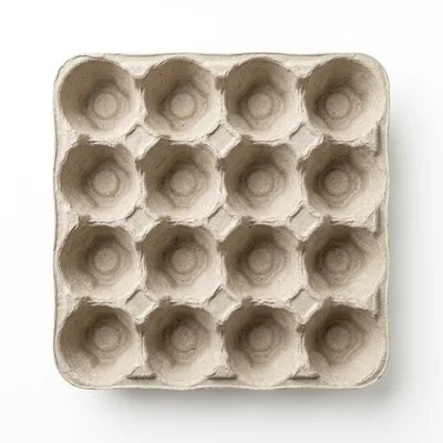 Empty Molded Pulp Egg Carton Tray