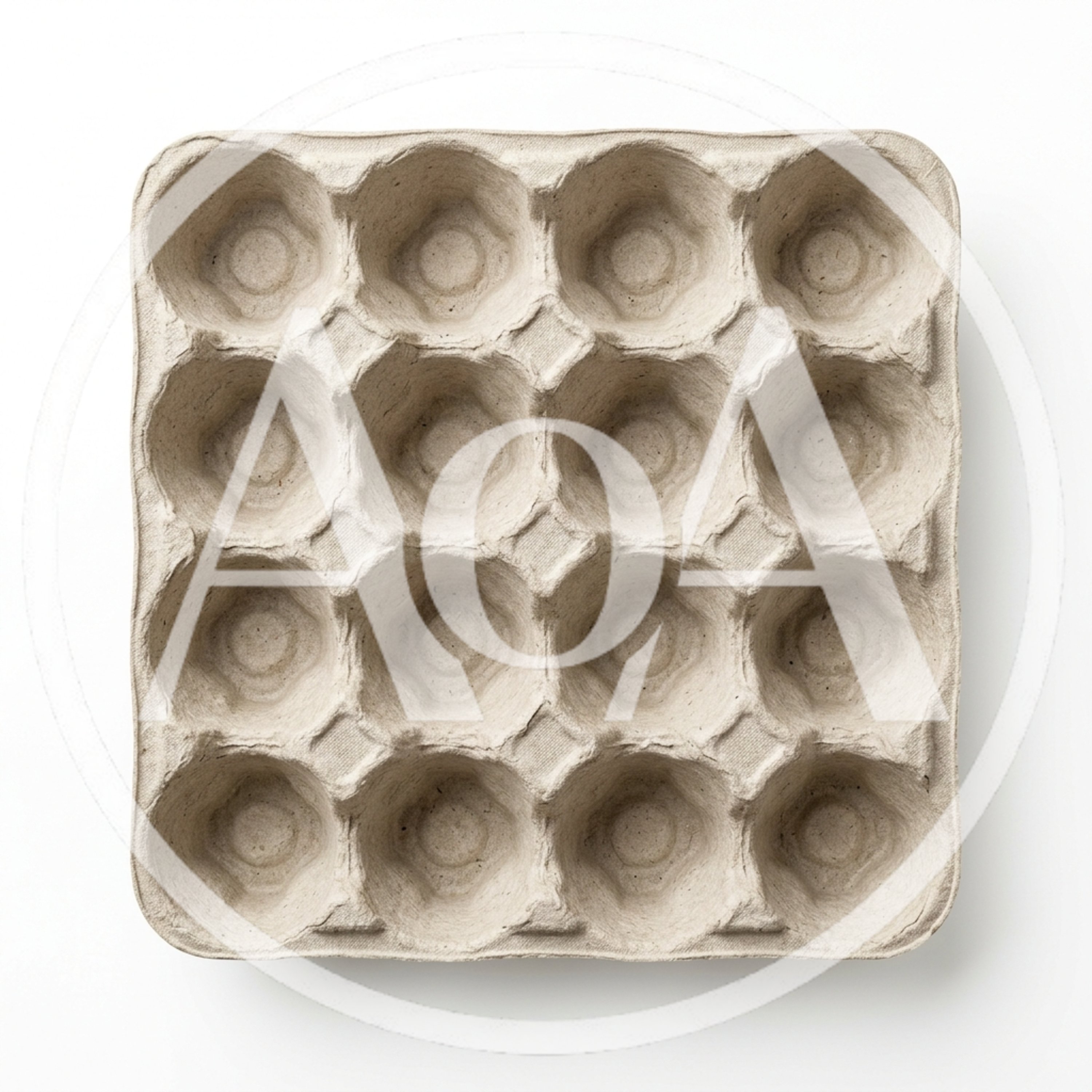 Empty Molded Pulp Egg Carton Tray
