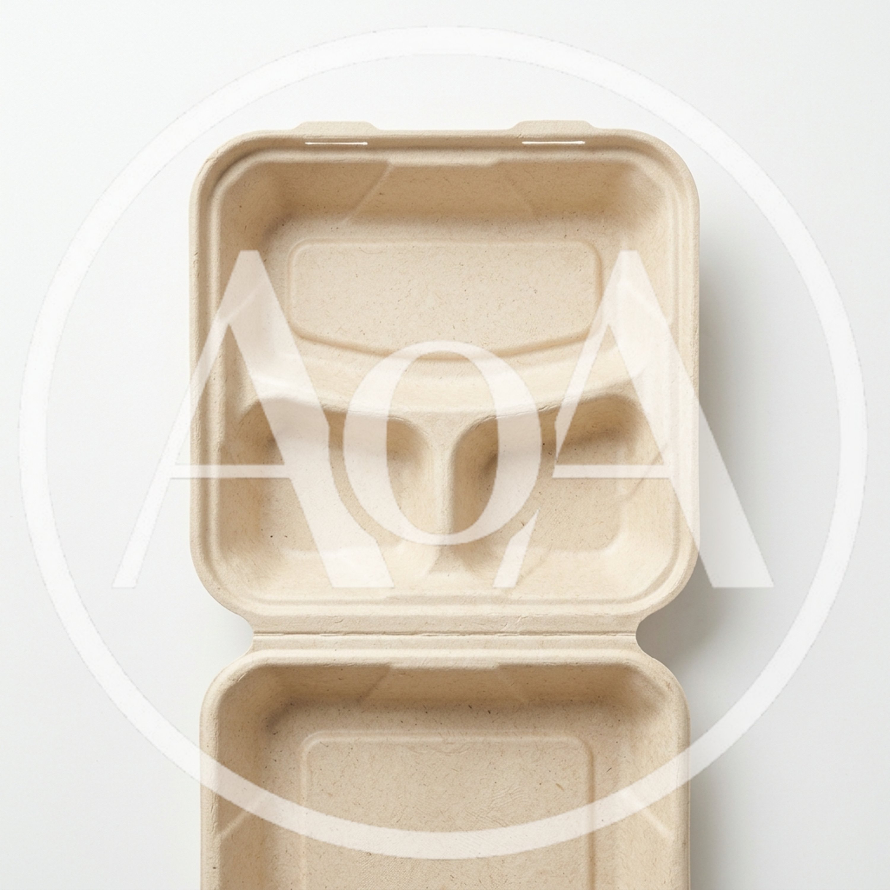 Open Three Compartment Compostable Takeout Food Container