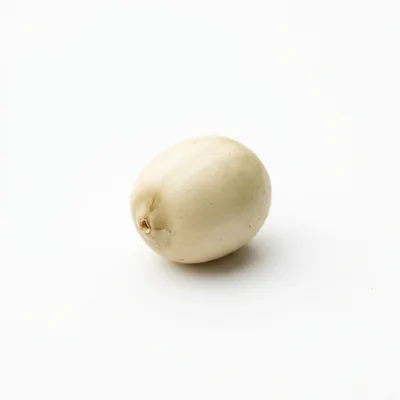 Single Peeled Lotus Seed Isolated on White Background