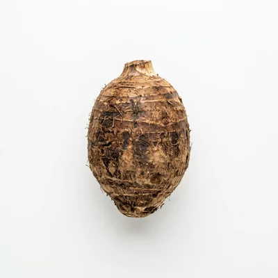 Single Raw Taro Root Isolated On White Background