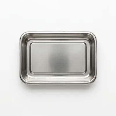Empty Rectangular Stainless Steel Food Tray
