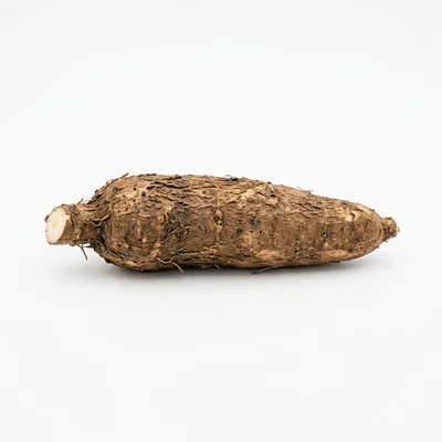 Single Raw Cassava Root Isolated On White Background