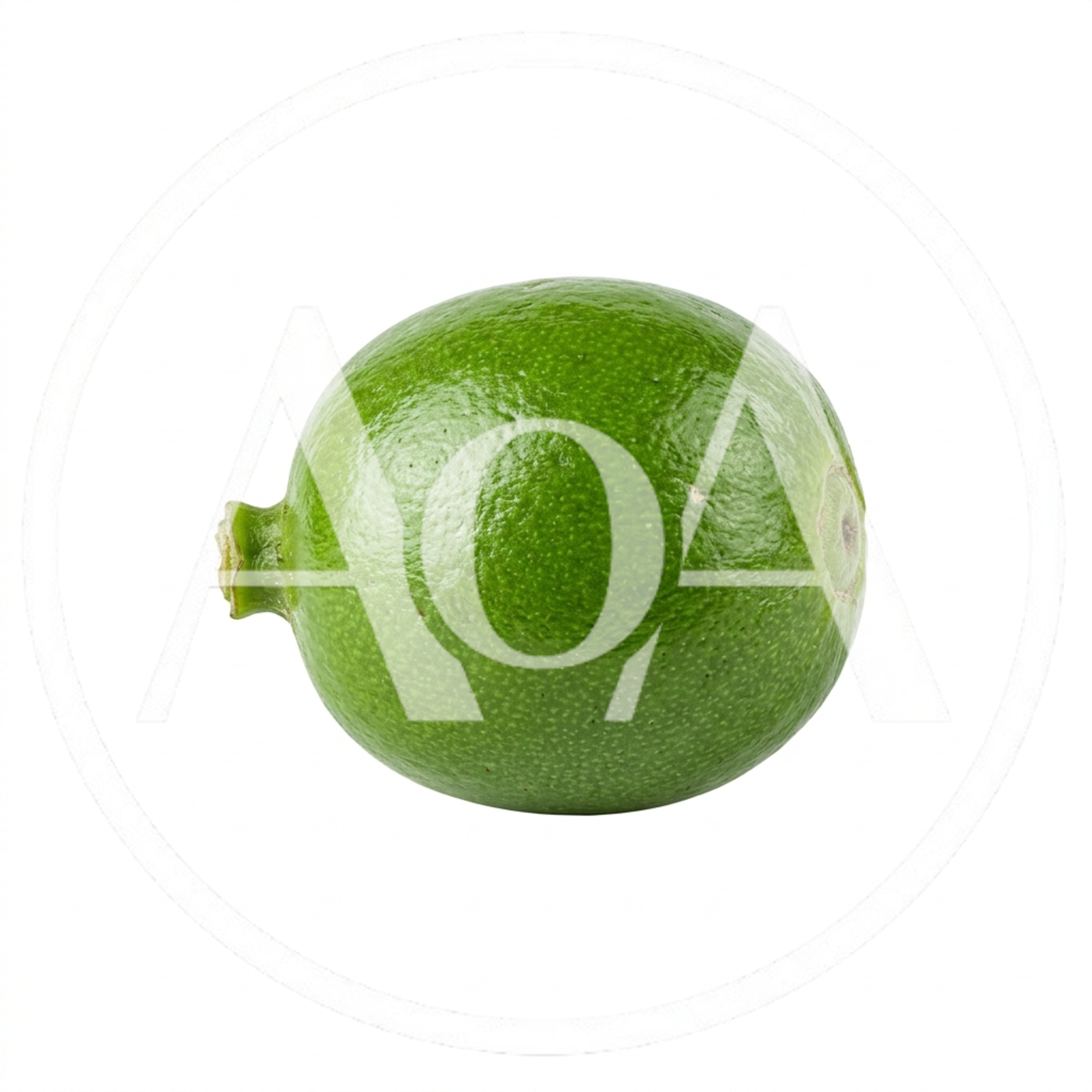 Single Fresh Green Lime Isolated On White Background