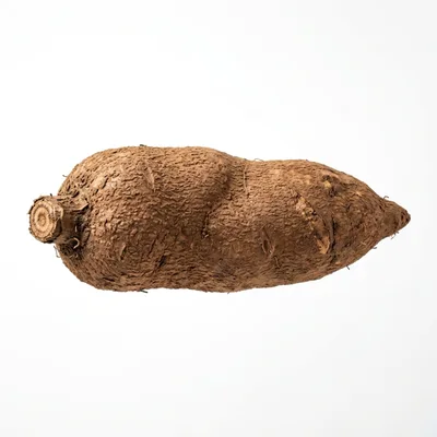 Single Raw Cassava Root Isolated On White Background