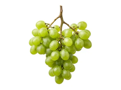 Fresh Green Grapes Cluster Isolated On White Background