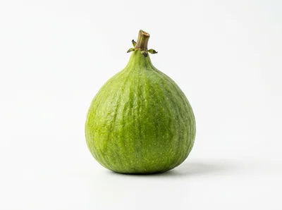 Single Fresh Green Fig Fruit
