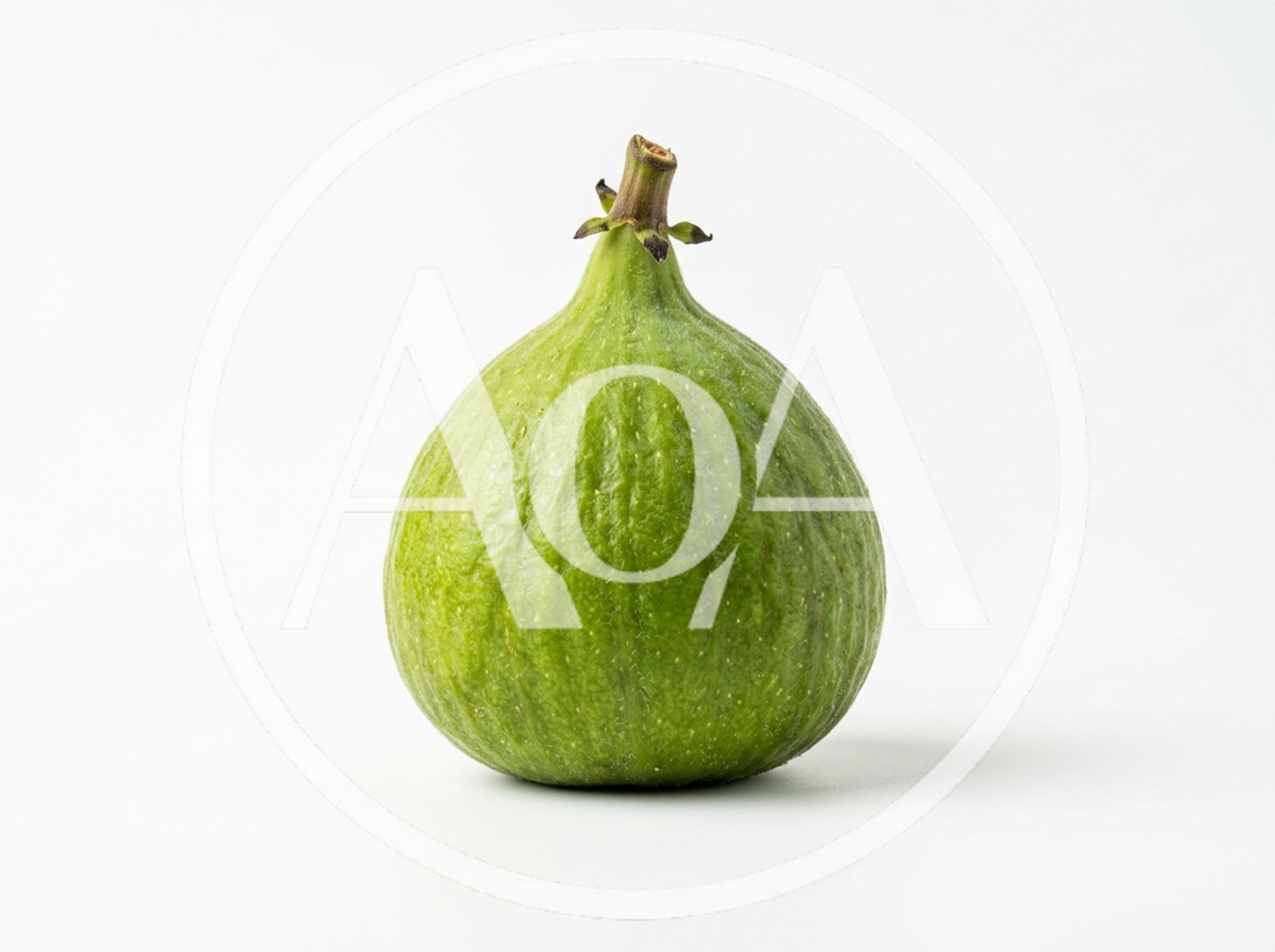 Single Fresh Green Fig Fruit
