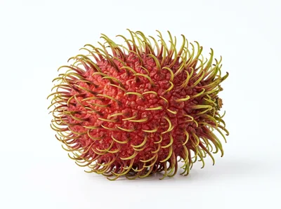 Single Fresh Rambutan Fruit Isolated On White Background
