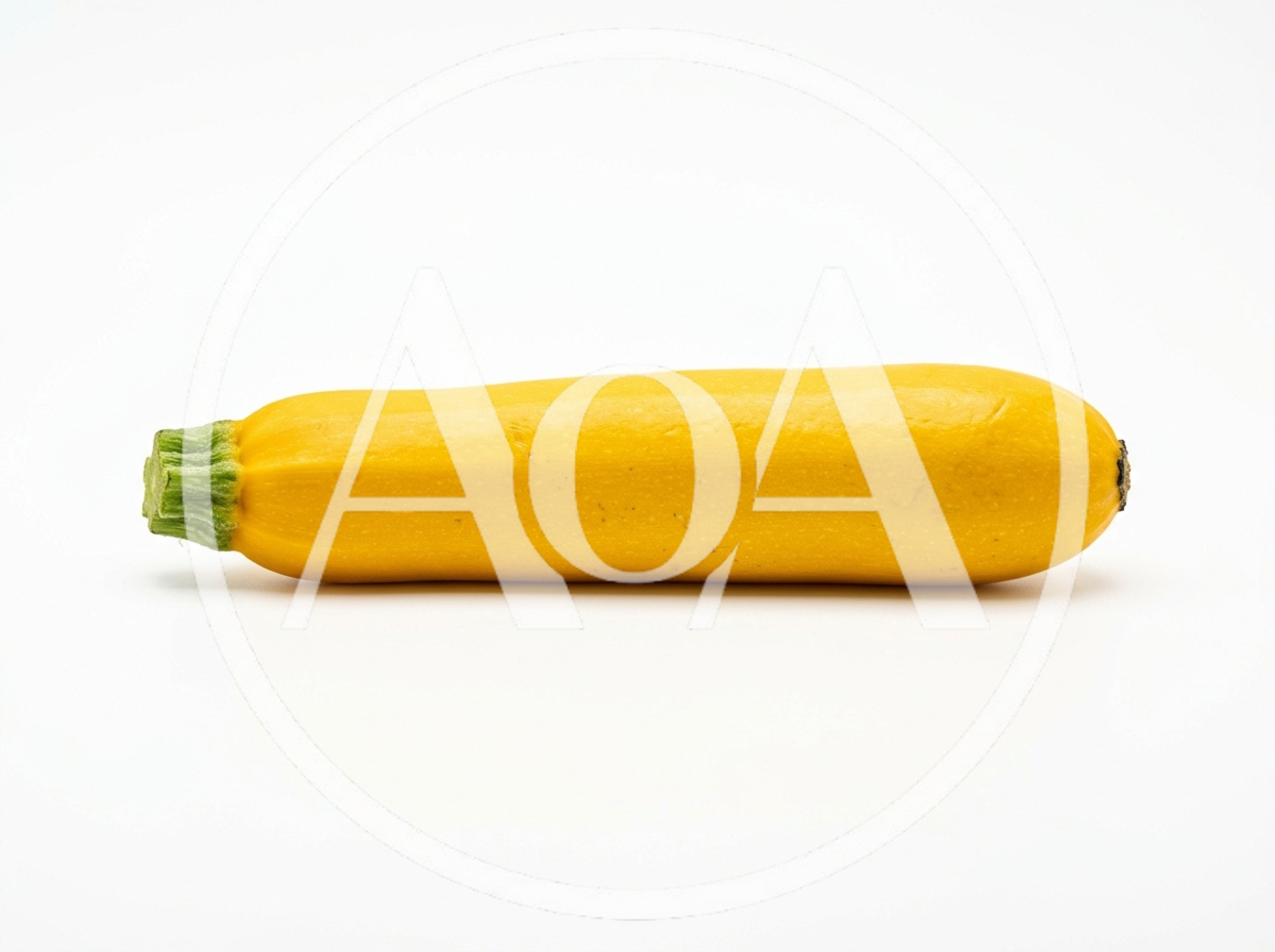 Single Fresh Yellow Zucchini Squash