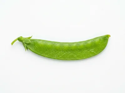 Single Fresh Green Snow Pea Pod