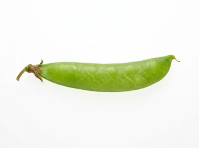 Single Fresh Green Pea Pod Isolated On White