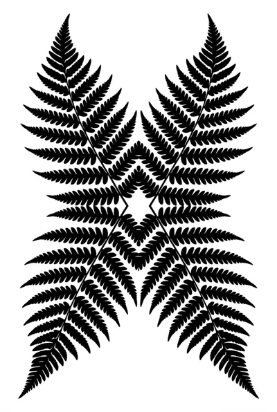 Symmetrical Fern Leaf Pattern Graphic Design