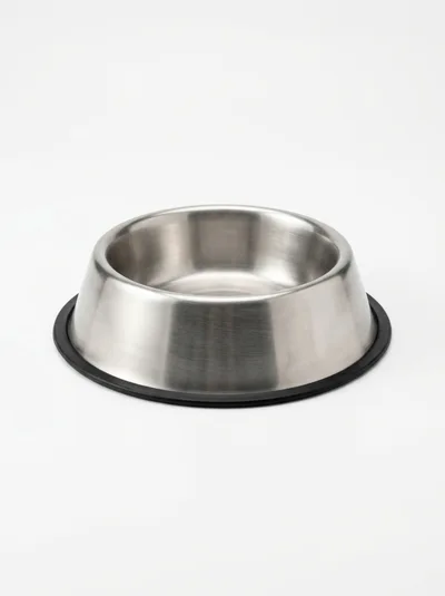Stainless Steel Pet Bowl On White Background