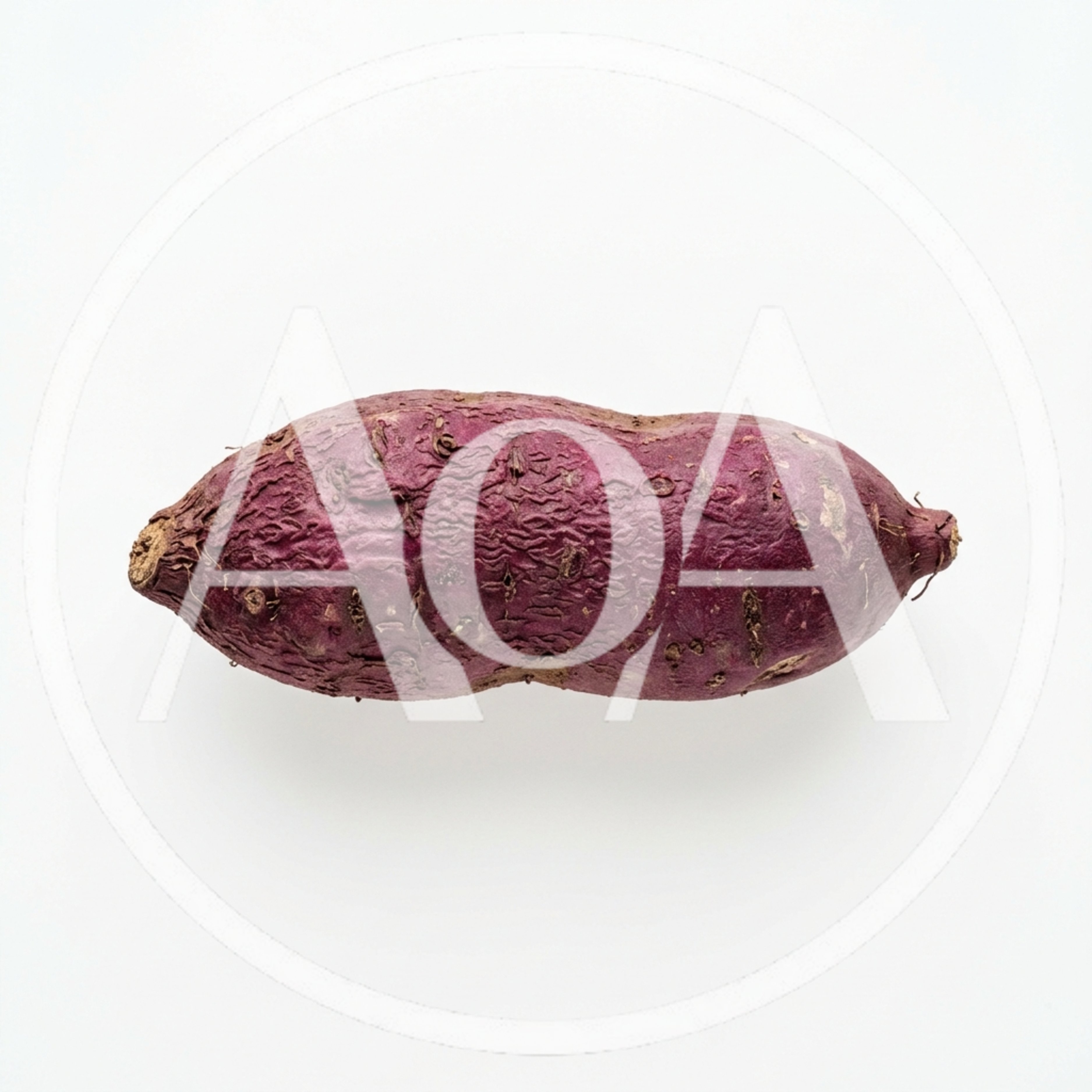 Single Raw Purple Sweet Potato Isolated On White