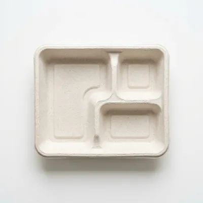 Empty Three Compartment Biodegradable Food Tray