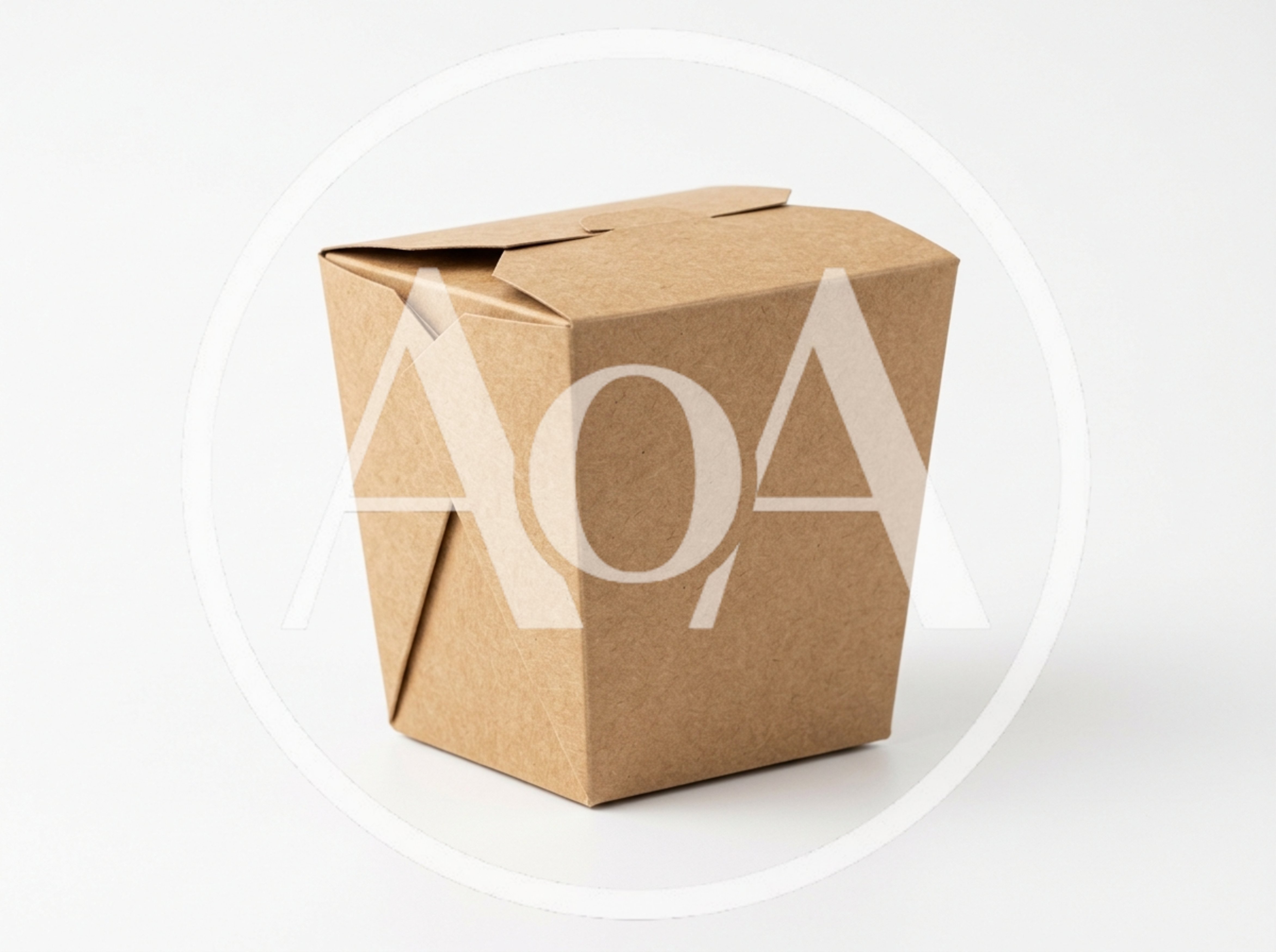 Brown Cardboard Takeout Food Container