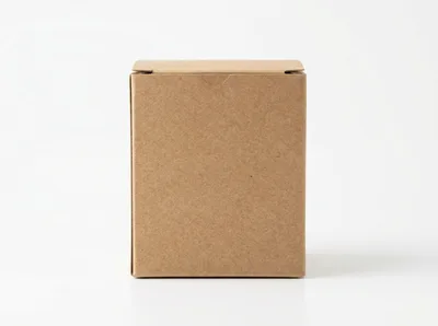 Blank Brown Cardboard Box On White Background