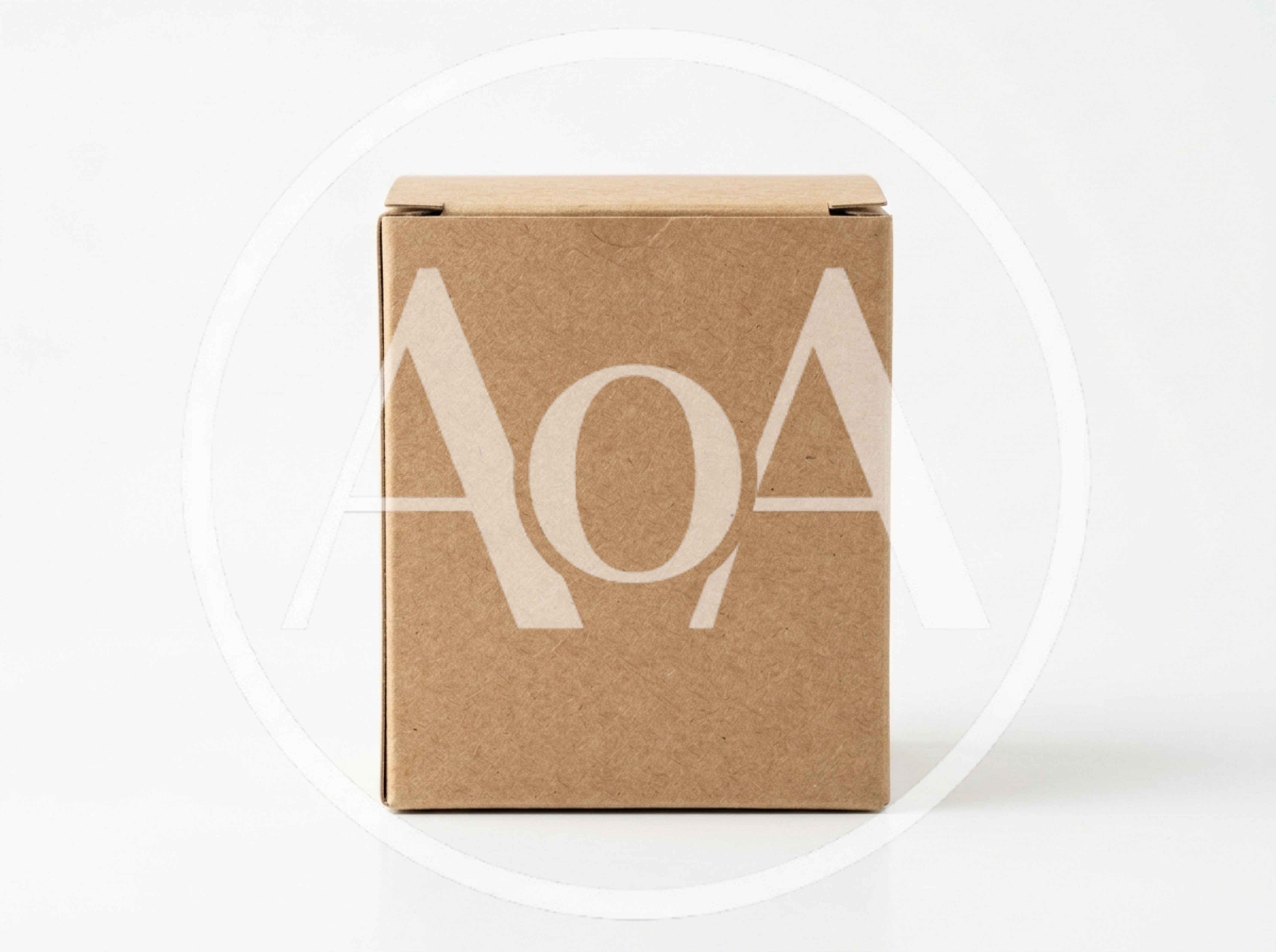 Blank Brown Cardboard Box On White Background
