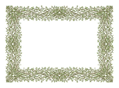 Intricate Hand Drawn Vine Border Frame