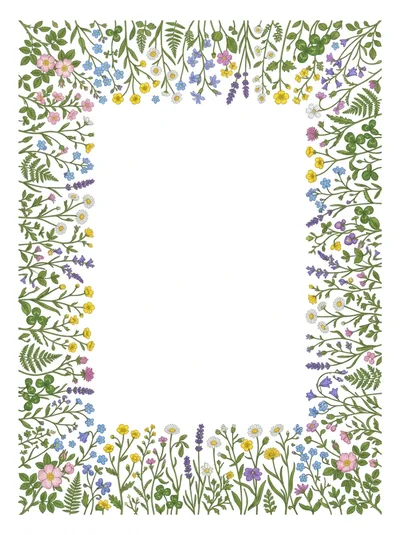 Hand Drawn Wildflower Botanical Frame Illustration