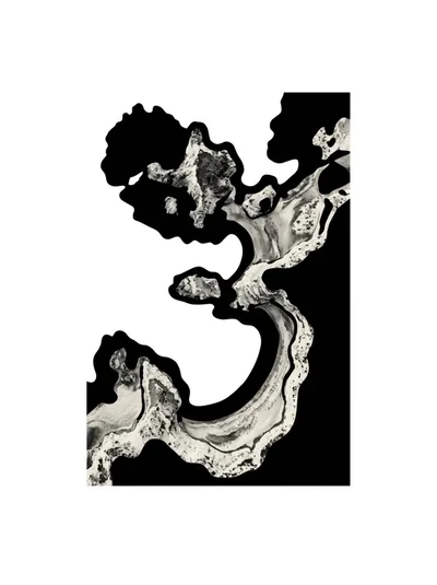 Abstract Black And White Ink Wash Painting