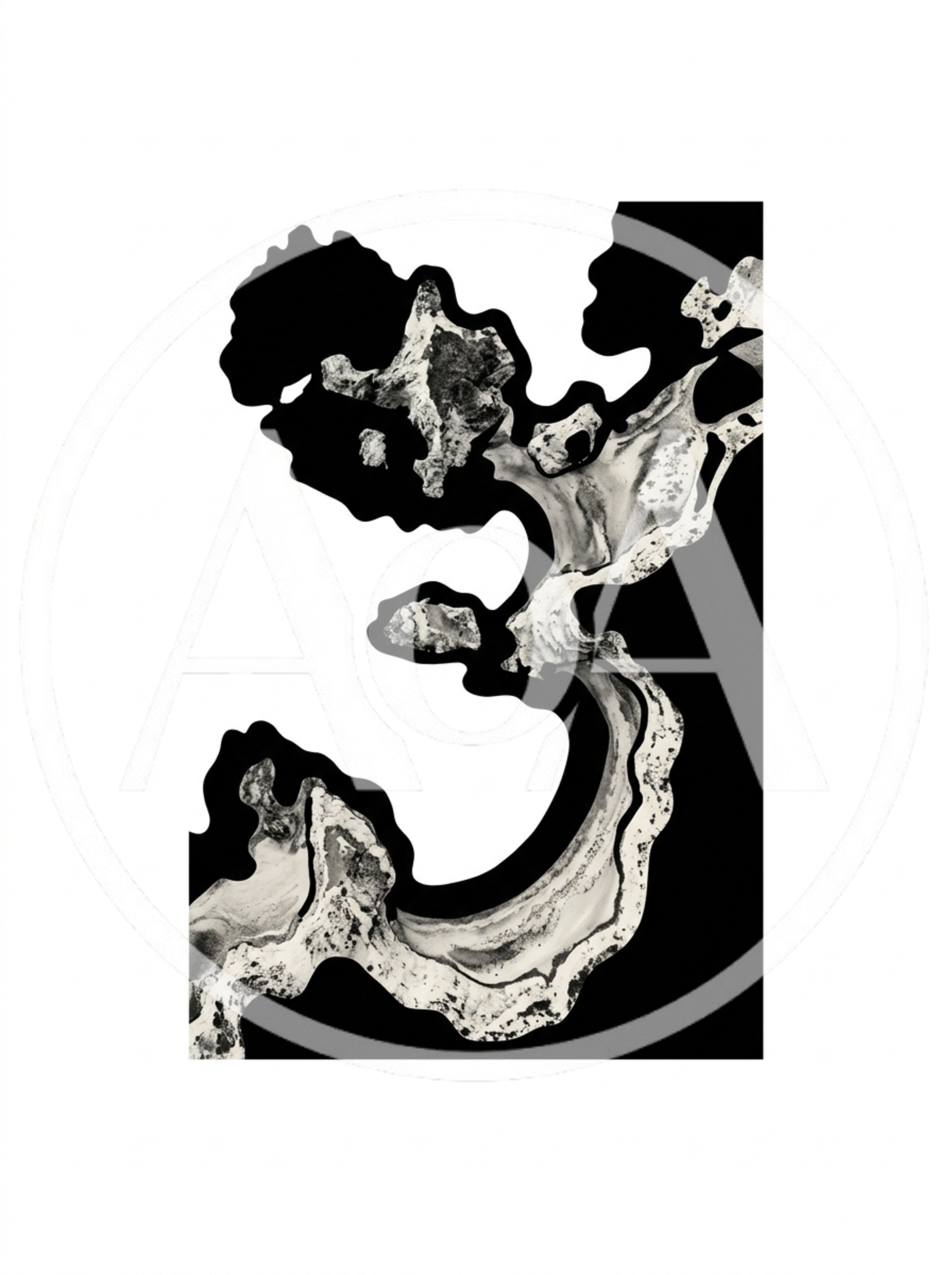 Abstract Black And White Ink Wash Painting
