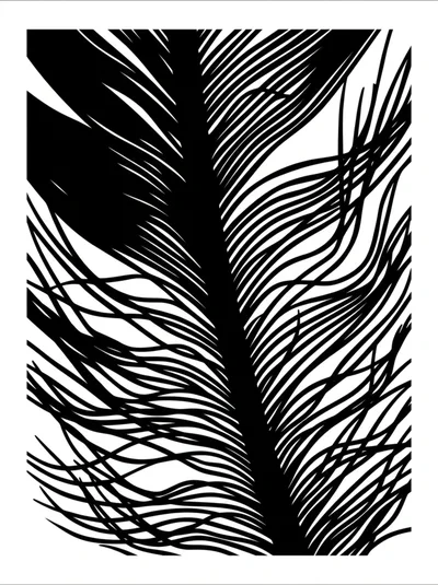 Abstract Black And White Feather Illustration