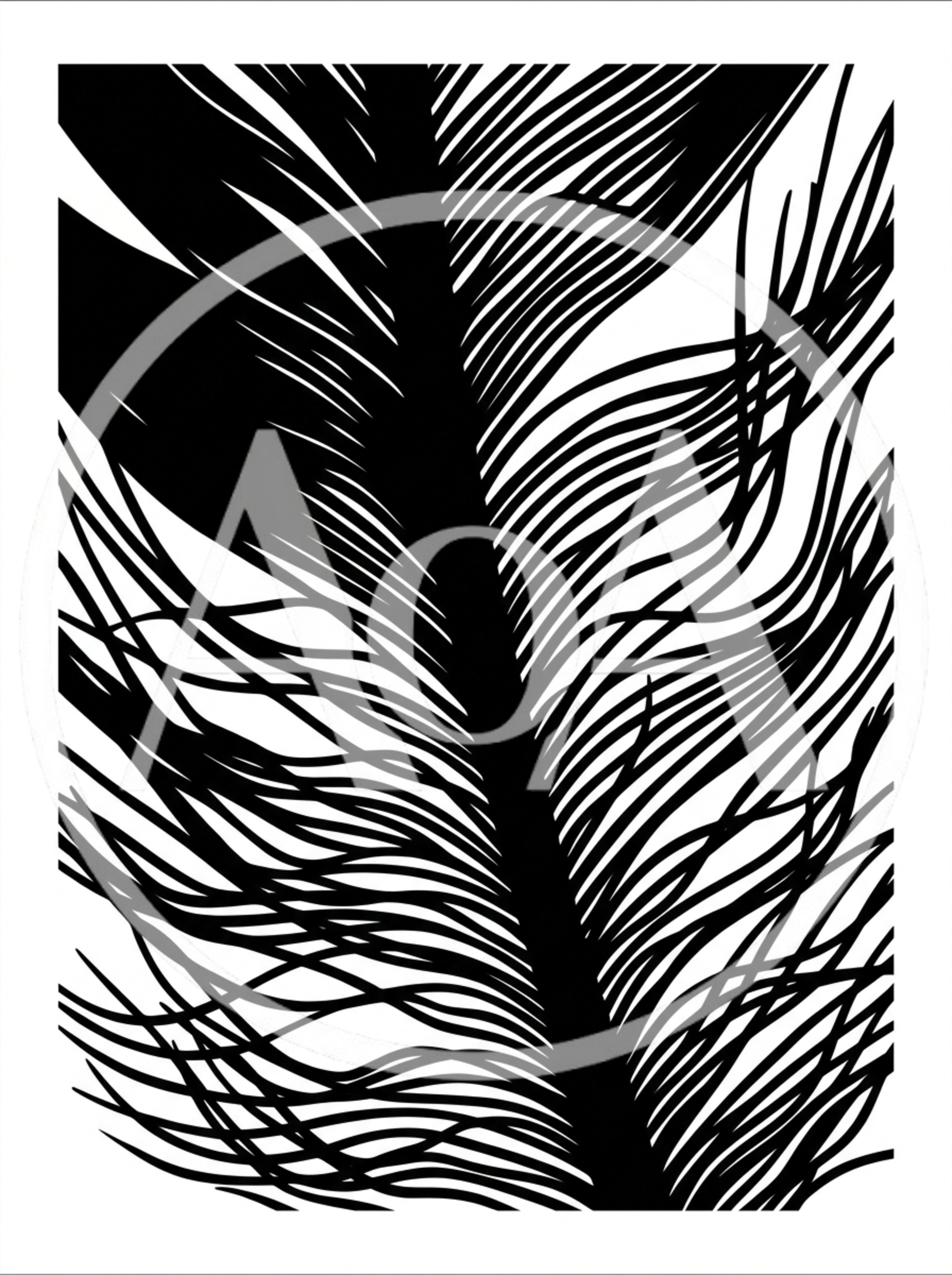 Abstract Black And White Feather Illustration