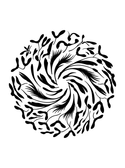 Black And White Floral Mandala Circular Pattern