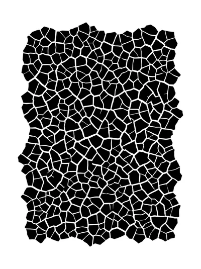 Abstract Black And White Cracked Texture Pattern