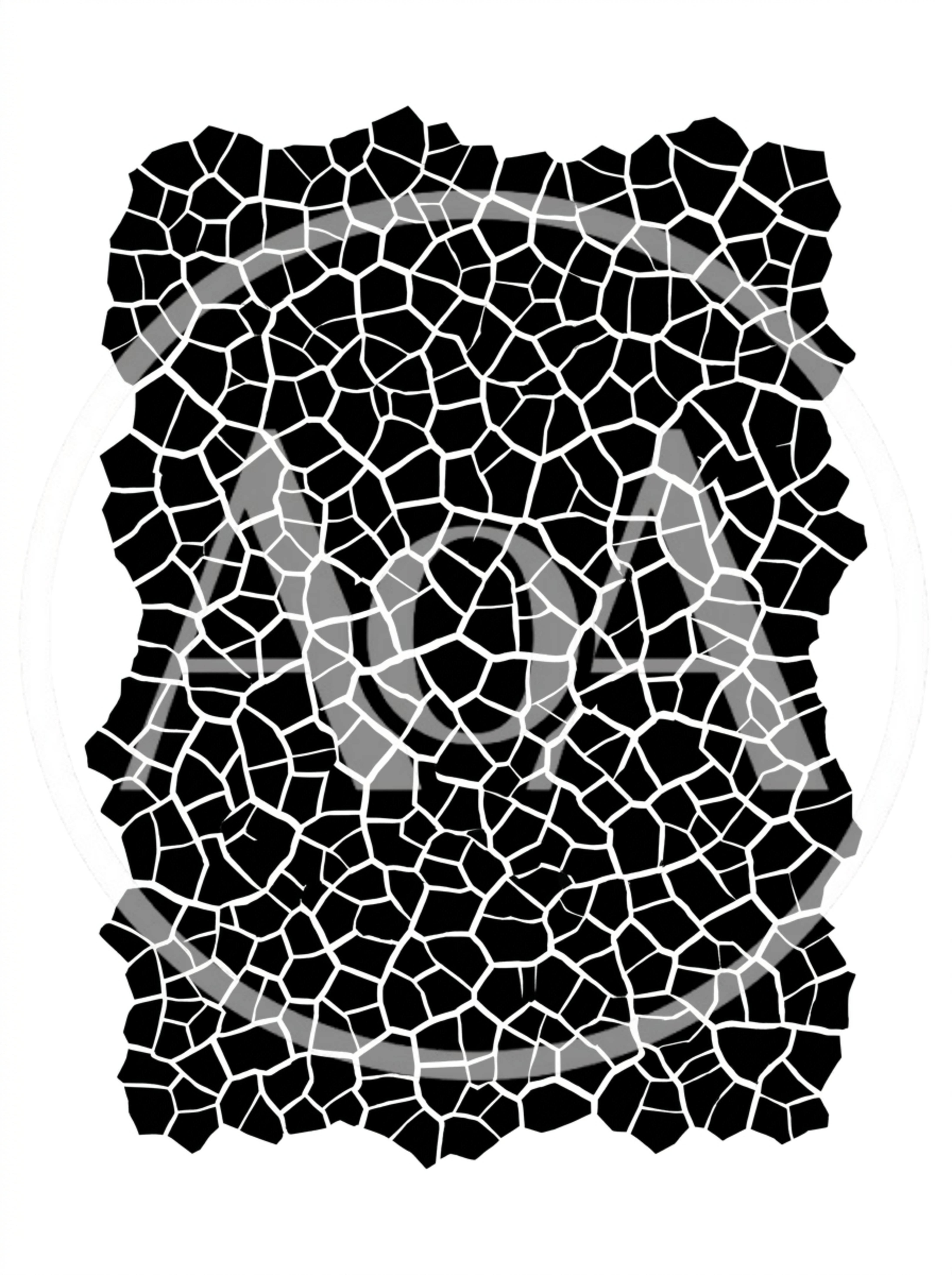 Abstract Black And White Cracked Texture Pattern