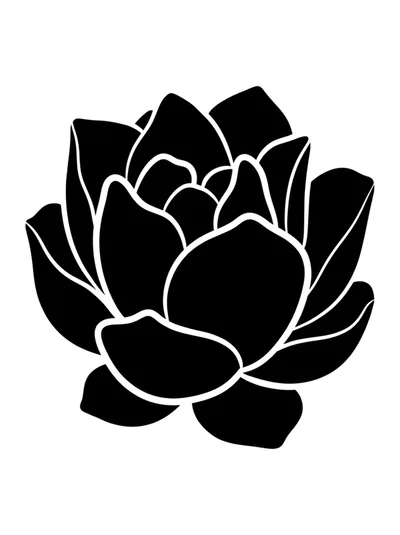 Black And White Minimalist Succulent Plant Illustration