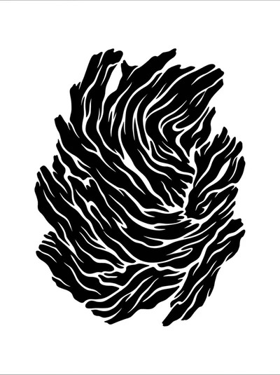 Abstract Black And White Organic Flowing Pattern