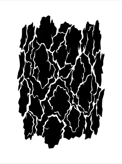Black And White Tree Bark Texture Pattern