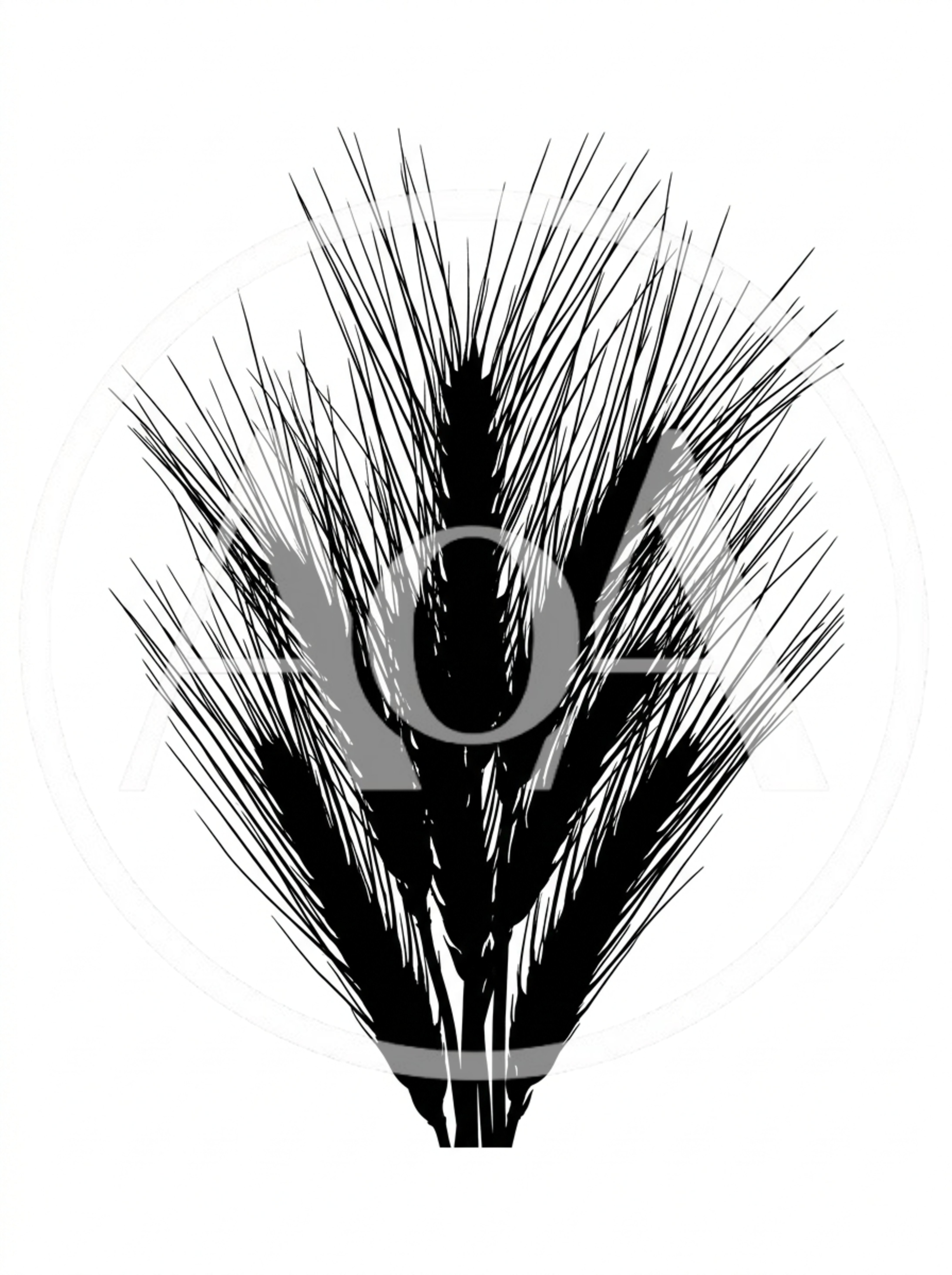 Black Silhouette Of Wheat Stalks On White Background