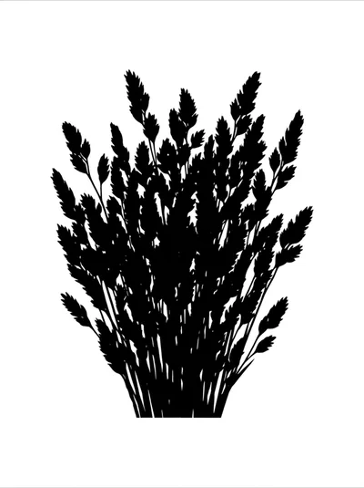 Black Silhouette Of A Bunch Of Ornamental Grass