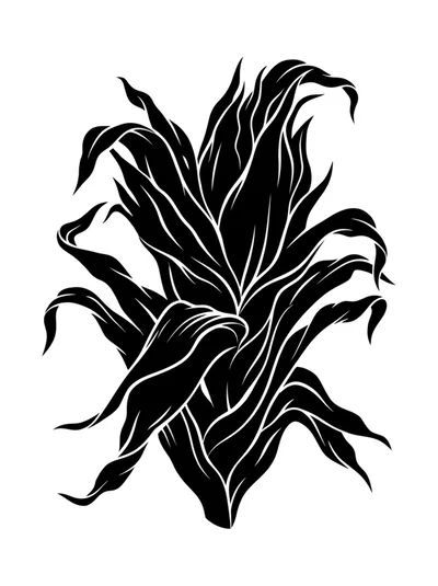 Black Silhouette Illustration Of A Corn Plant