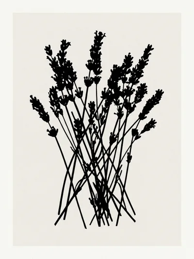 Minimalist Black Silhouette Of Lavender Sprigs