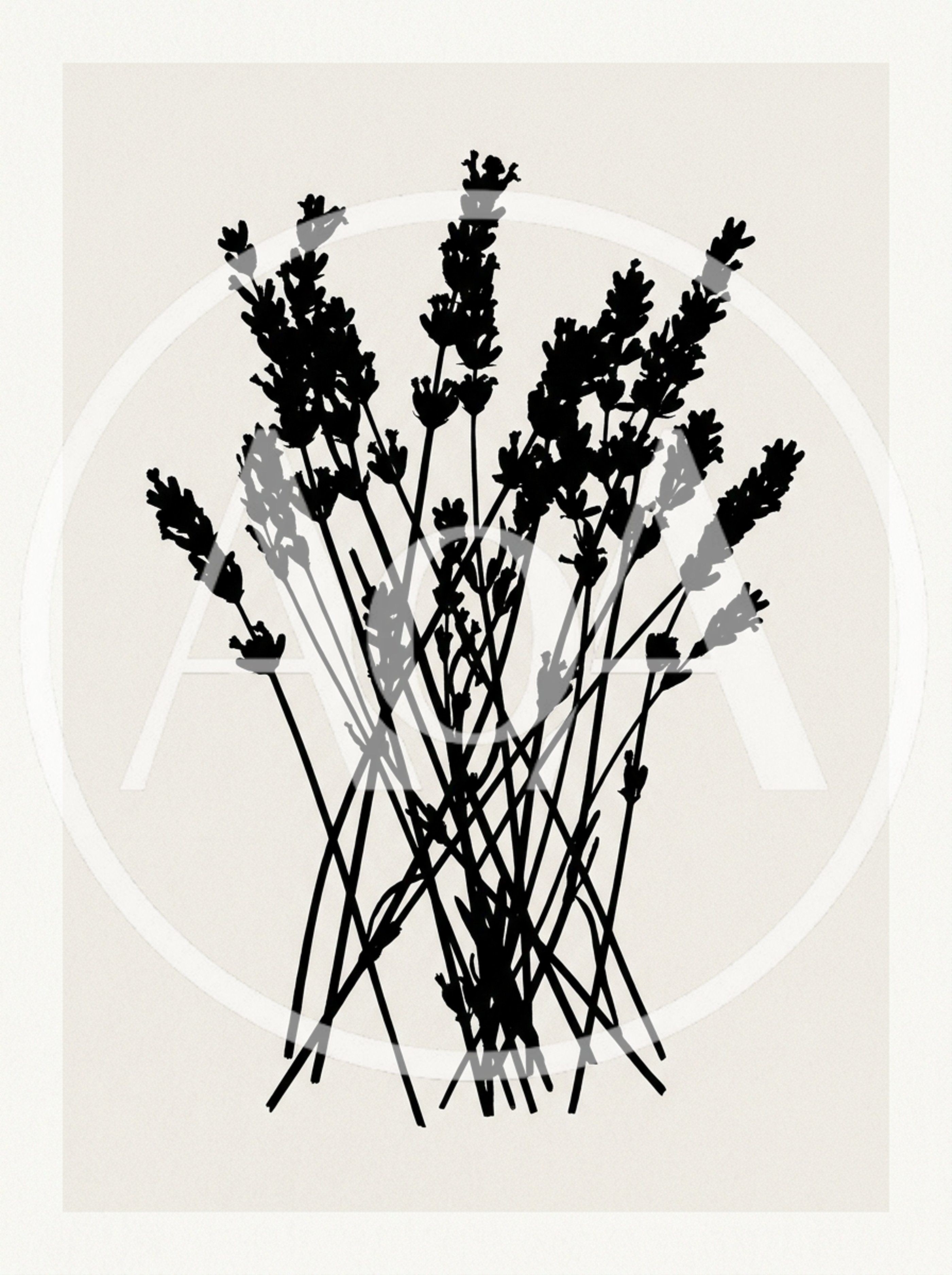 Minimalist Black Silhouette Of Lavender Sprigs