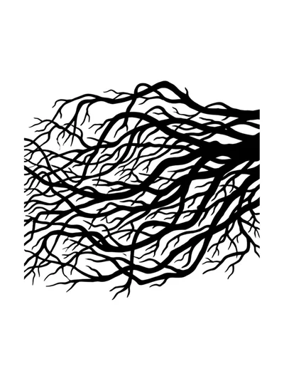 Black Silhouette Of Intricate Tree Branches