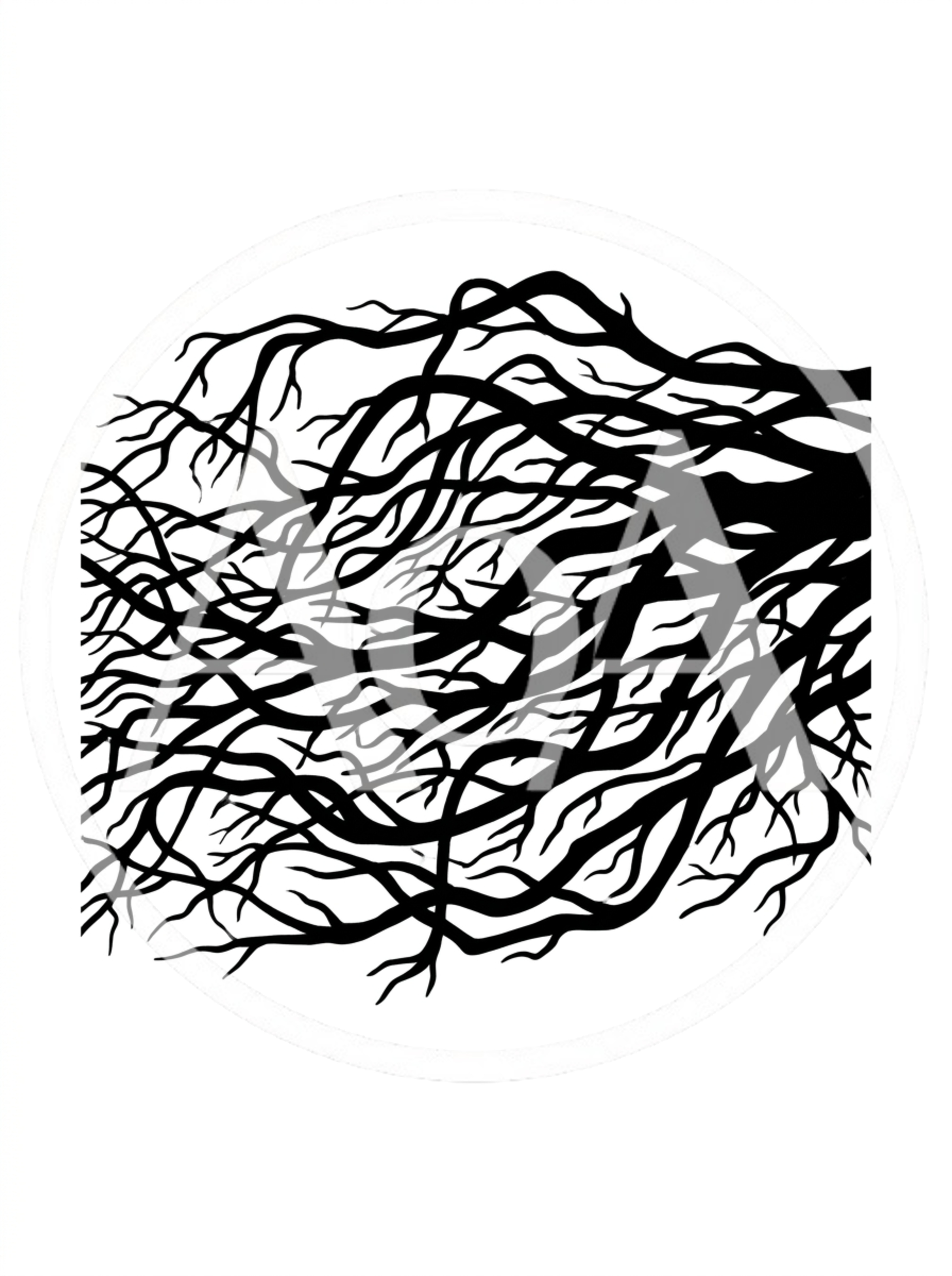 Black Silhouette Of Intricate Tree Branches